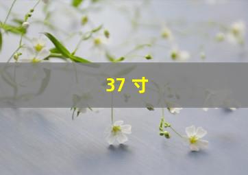 37 寸